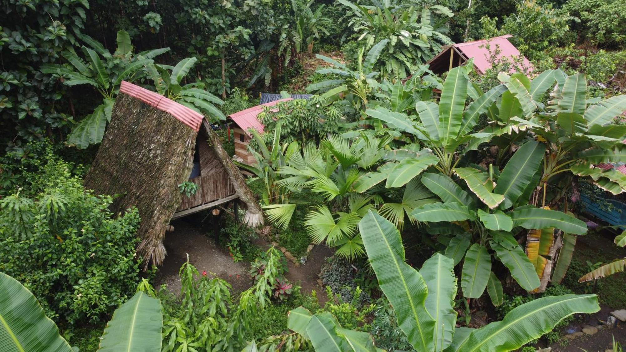 La Aldea Del Primitivo Hotel Nuquí Eksteriør billede